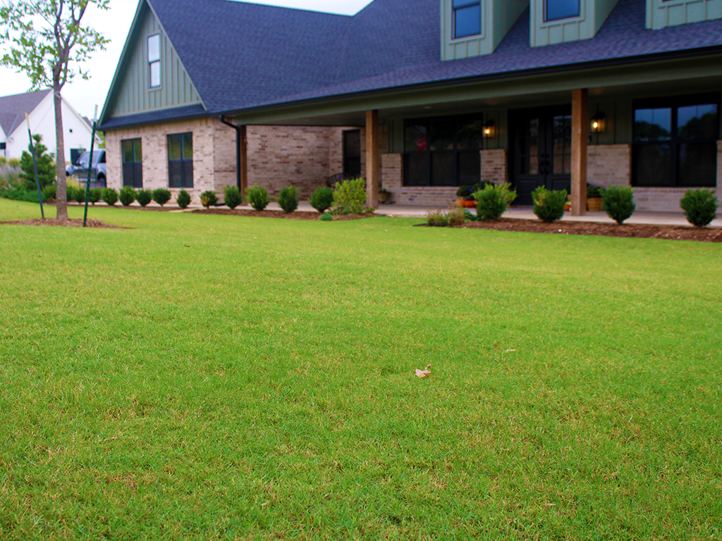 Lawns Like Greens Gallery Image 06